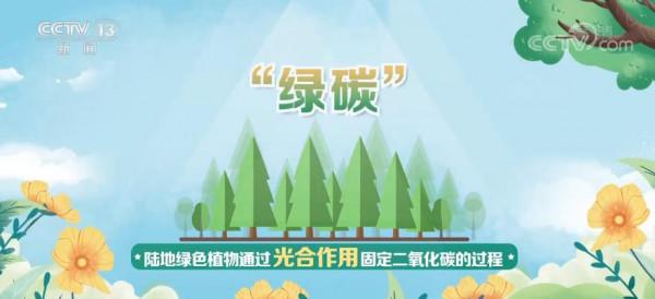 「共赴春城之約」科普 | 碳匯：用生態手段減少溫室氣體濃度