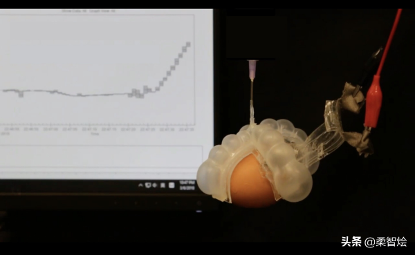 自供電柔性可伸縮溫度計可整合到軟體機器人、智慧服裝中
