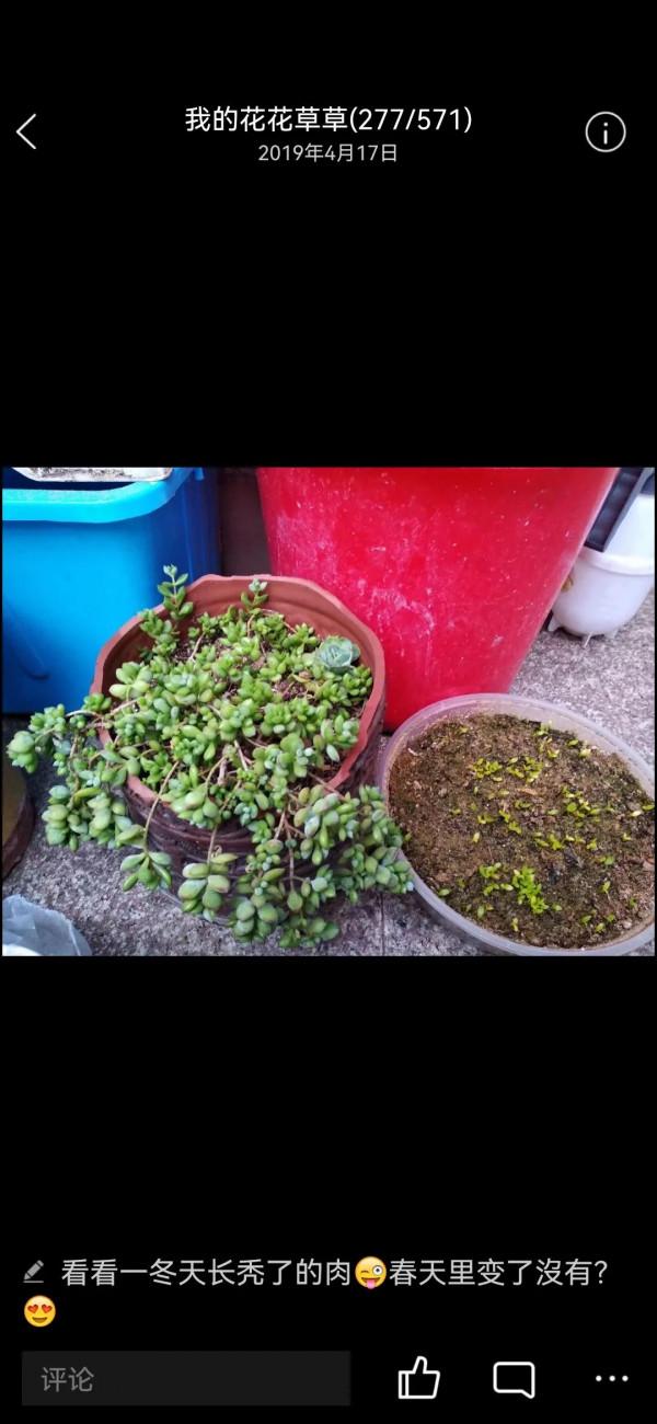 四年的達摩福娘,看她是怎樣一年一年蛻變的 四年的達摩福娘,看她是怎樣一年一年蛻變的