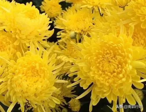 《五言詩·揮別晚秋》