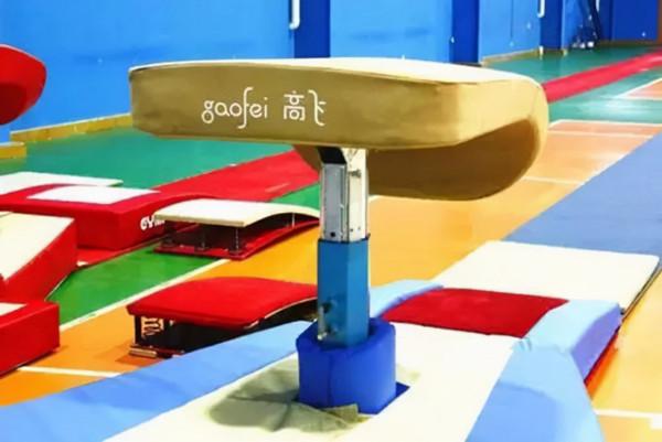 體操少女陸莉16歲奪冠，2年後因病退役，遠嫁美國20多年不改國籍