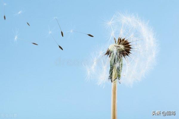 借力打力，是太極拳技擊技法的重要原則，也是做人做事的智慧