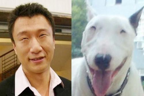 那些和動物撞臉的明星們 只有我們熱巴最可愛