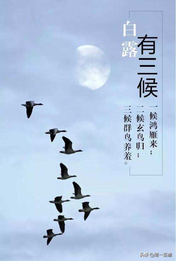 二十四節氣歷：辛丑歲 白露12日[候二]洋歷：2021年9月18日[週六]