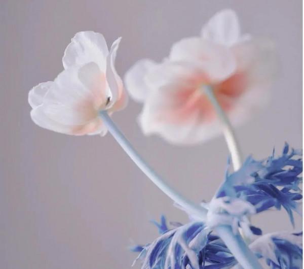 《道德經》一個人慾望越少，內在智慧越多，也就，越靠近本源