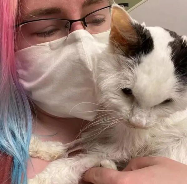 “我見過最長壽的流浪貓，活了29歲。”