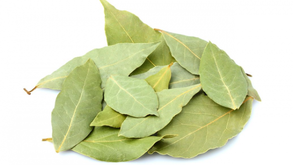 養顏與瀉下類中藥合理應用