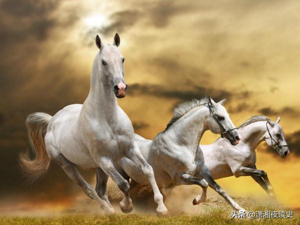 是誰在4000年前阻止了雅利安人繼續向東擴張,儲存了中華文明? 是誰在4000年前阻止了雅利安人繼續向東擴張,儲存了中華文明?