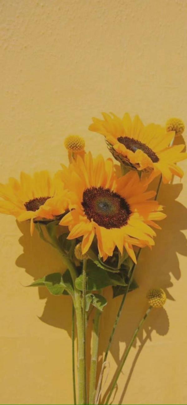 生氣最後一分鐘，自己就能哄好自己的星座