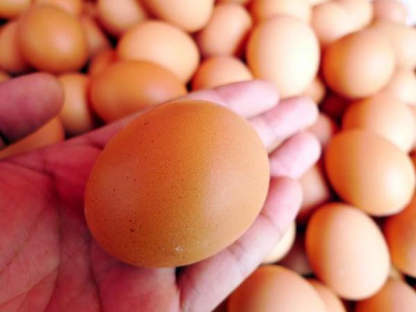 每天早上吃一個水煮蛋，堅持一個月，身體會收穫哪些好處？