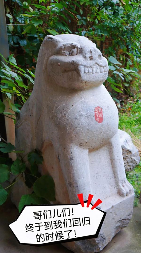 虎年看啥？文物中的虎元素來給您拜個年