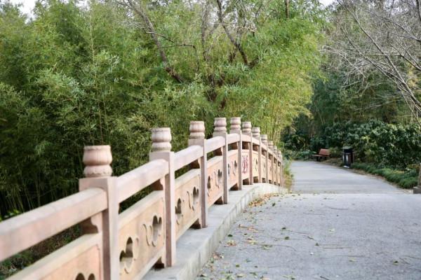 快瞧，橋！