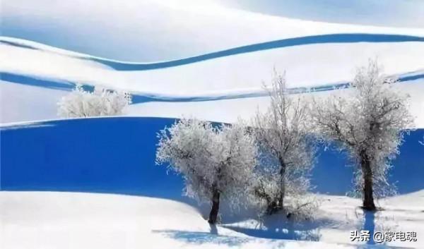 「視點」家電成熟市場 把價格做爛有百害無一利