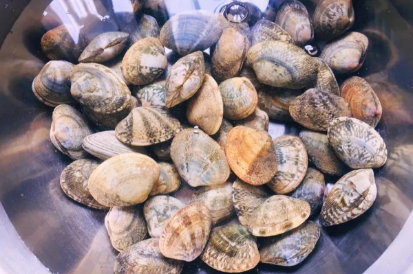 12道家常拿手菜，有葷有素有湯，色香味俱全，收藏宴客有面兒