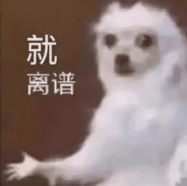 有什麼事，年後再說！冷門小眾年貨專題，一次安排7種