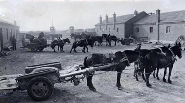 東北話:拉幫套 東北話:拉幫套