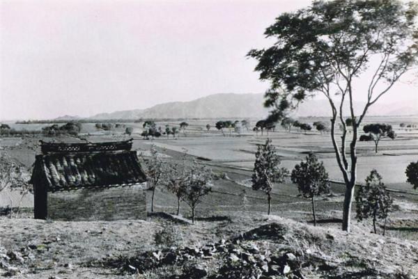 河南老農收留日本傷兵，當親人照顧47年，他回國後是怎麼報答的