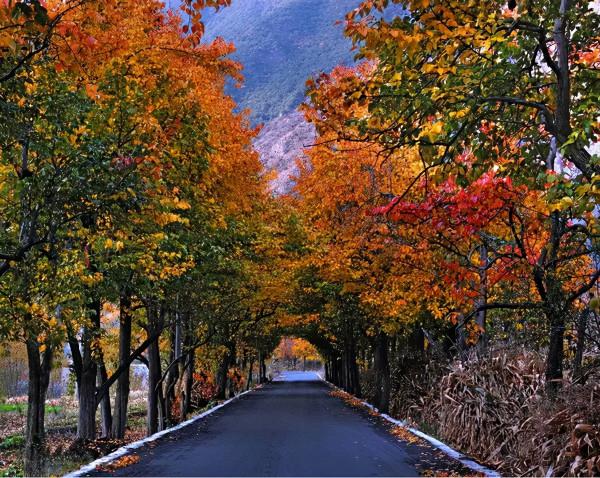 秋色來襲!7條自駕公路一網打盡四川最美風光,你去過幾條? 秋色來襲!7條自駕公路一網打盡四川最美風光,你去過幾條?