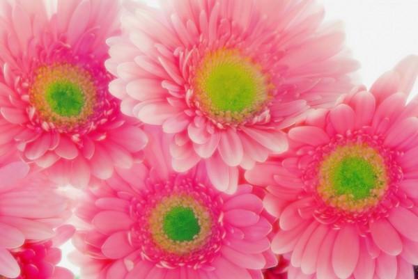 50到60歲是存錢黃金10年，你存下錢了嗎？3個女人說出心裡話