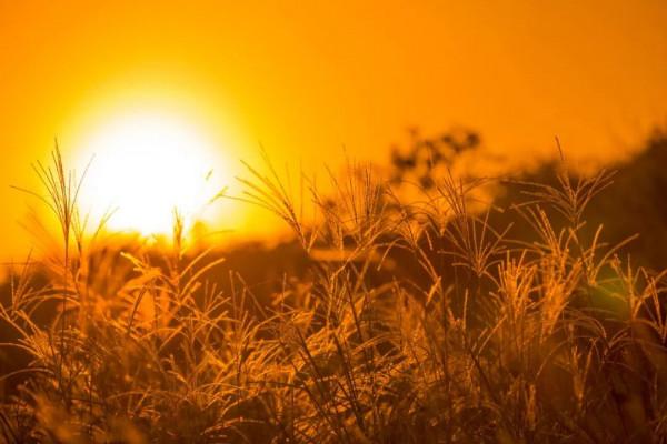 【陽光驛站】真正有教養的人，從不訴苦！