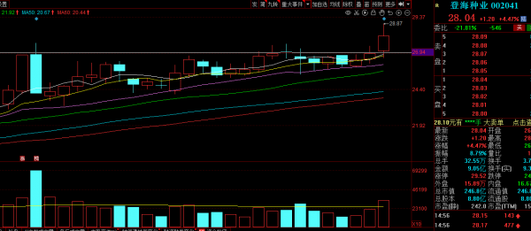 「12.20覆盤」題材破潰,妖股橫行 「12.20覆盤」題材破潰,妖股橫行