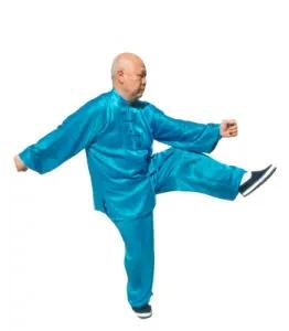 中國古代武術之炮捶 中國古代武術之炮捶