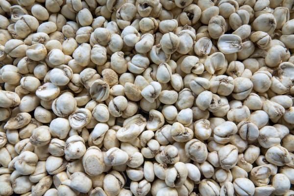 中醫解讀:女人血虛先長斑,補血理氣是淡斑的關鍵 中醫解讀:女人血虛先長斑,補血理氣是淡斑的關鍵