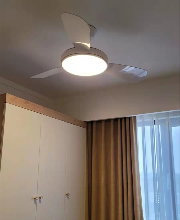 媳婦堅持裝吊扇燈,花2600元買了4個,還說:家要的就是舒適 媳婦堅持裝吊扇燈,花2600元買了4個,還說:家要的就是舒適