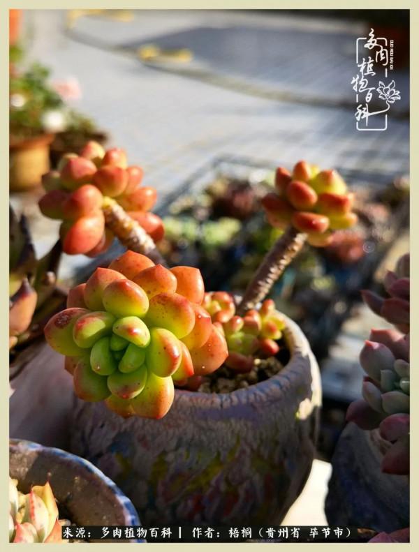 世間瞬息萬變，我們的友誼不變，閨蜜相聚，賞肉言歡