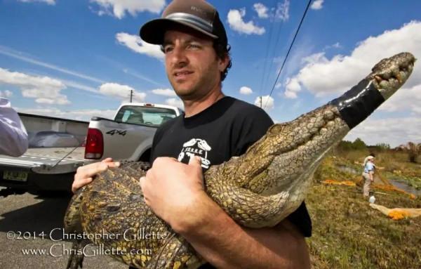鱷魚好圖大雜燴 鱷魚好圖大雜燴