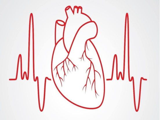 體檢查出&OpenCurlyDoubleQuote;竇性心律&rdquo;是啥意思？心律不齊是心臟病嗎？總算明白了