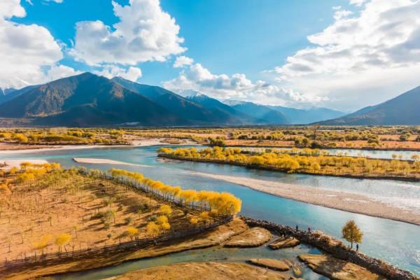 寒冬將至，在心裡重溫深秋的溫暖與美好