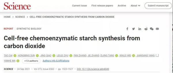 曝光一波，去年你沒吃過的&OpenCurlyDoubleQuote;大瓜&rdquo;