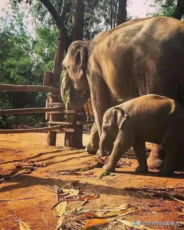 68張照片，帶你見識泰國，不為人知的一面