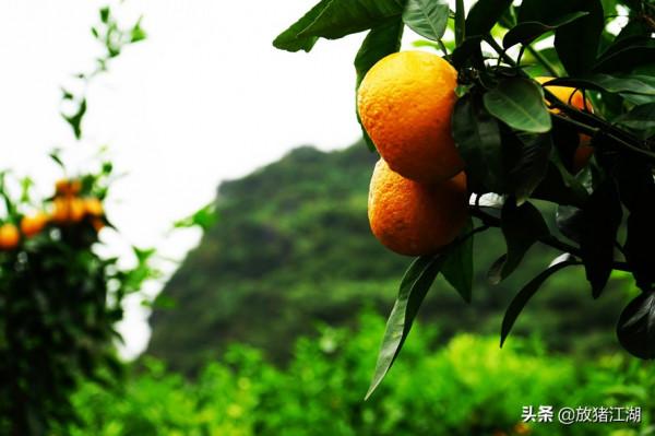 小都百屯，廣西大山深處隱藏的一個美麗鄉村
