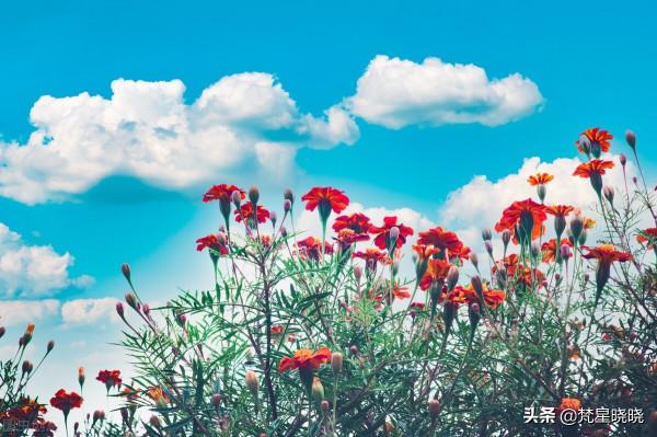 天秤座很中庸，但如果沒有置身事外的空間了，立場就會非常堅定