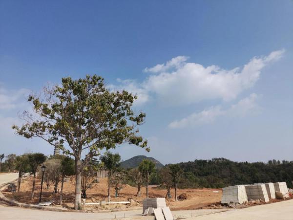 記中午接娃 記中午接娃