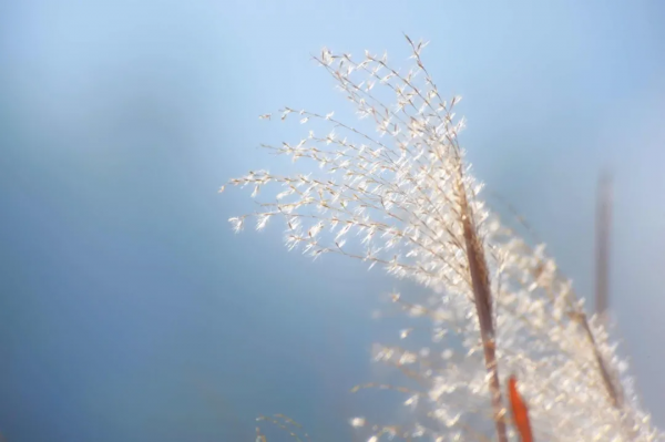 老莊20句箴言，感悟先哲大智慧