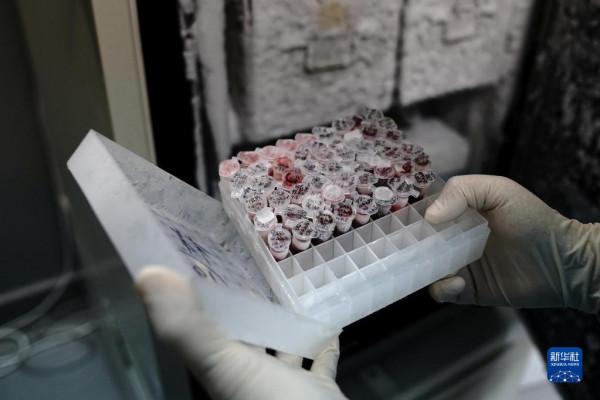 上海動物園裡的“中國虎”