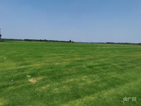 河南部分農村土地流轉失控現象調查