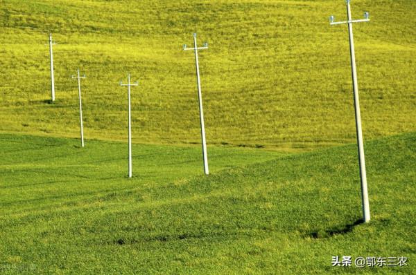 沒有得到農戶允許在農田耕地上安裝電線杆，是違法行為，應該移走