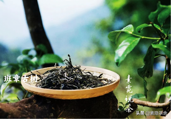 班章王、老曼峨、章家寨普洱茶和布朗山的關係