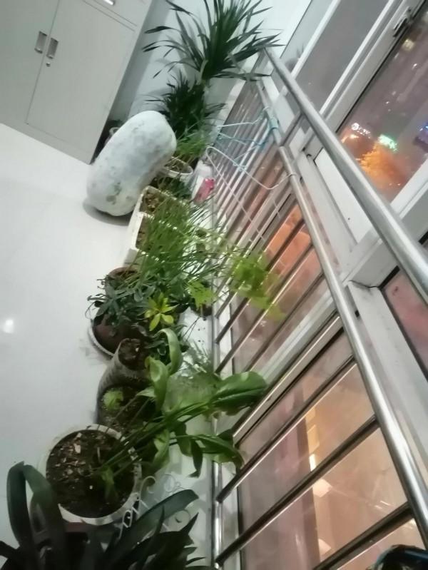 未來可期，過好當下