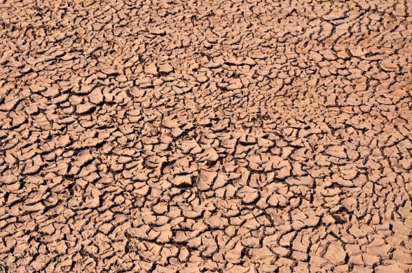 土豪到底有多“土”?百萬豪車裝電鑽挖機釣魚,吃羊肉更是土到家 土豪到底有多“土”?百萬豪車裝電鑽挖機釣魚,吃羊肉更是土到家