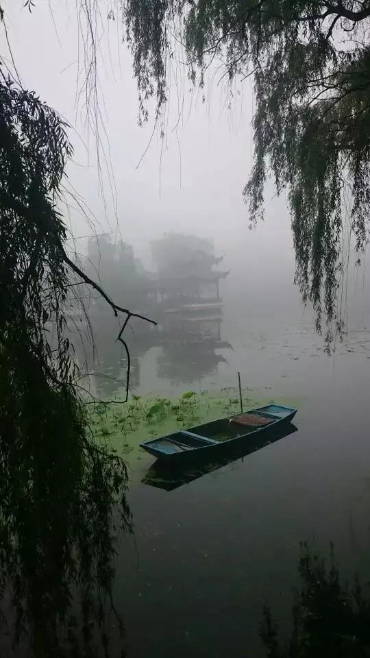 晨霧中的荷花池公園