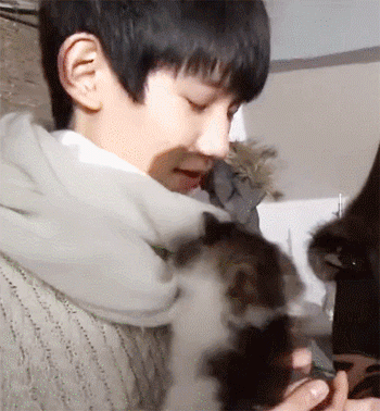 男明星的溫柔與寵溺都給了萌寵,好羨慕 男明星的溫柔與寵溺都給了萌寵,好羨慕