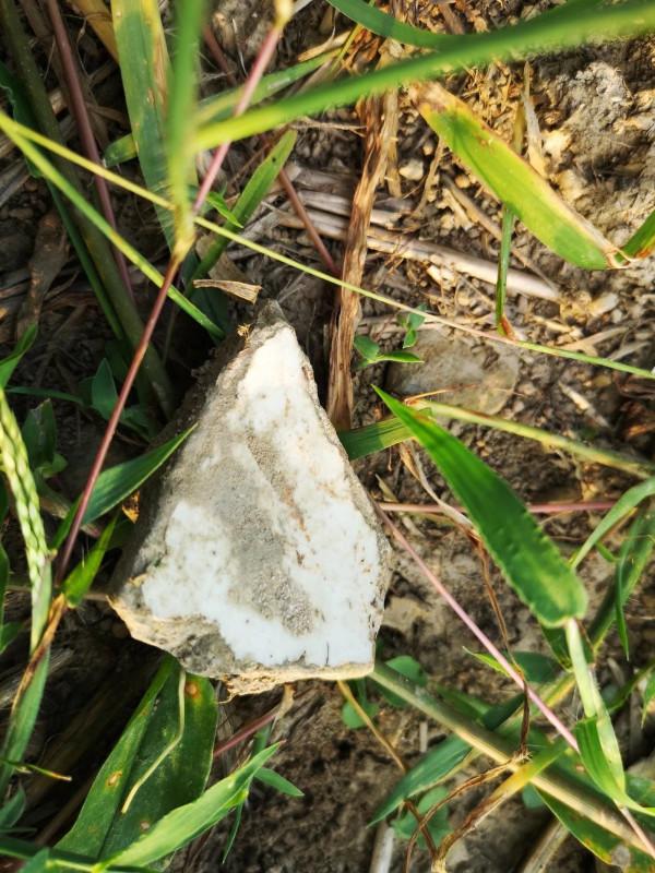 摩托周邊旮旯遊——尋朱元璋出家之於皇寺 摩托周邊旮旯遊——尋朱元璋出家之於皇寺