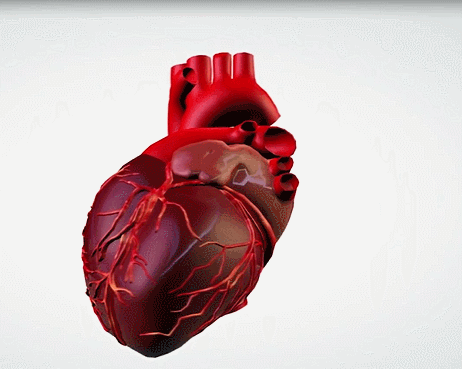 4位不同疾病患者的自述:幹細胞技術讓我們擁有了全新的生活 4位不同疾病患者的自述:幹細胞技術讓我們擁有了全新的生活