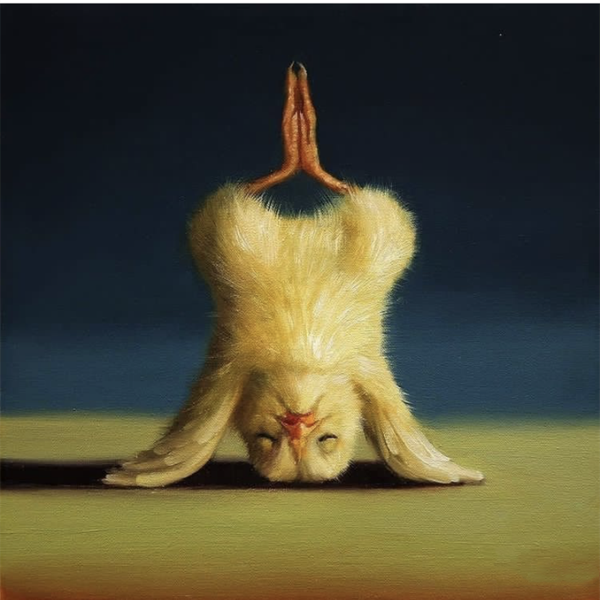 會瑜伽的小黃雞,在二次元動畫技術的加成之下,想象也成為了現實 會瑜伽的小黃雞,在二次元動畫技術的加成之下,想象也成為了現實