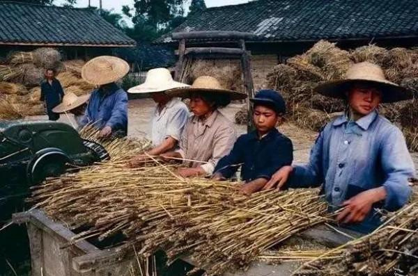 命苦的滿叔，在人間磨了25年，最後帶著一身蛆蟲走了